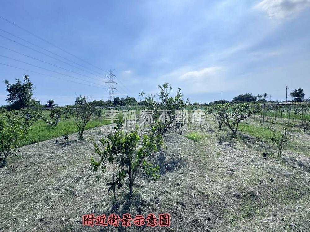 463坪林子邊段高鐵(農)