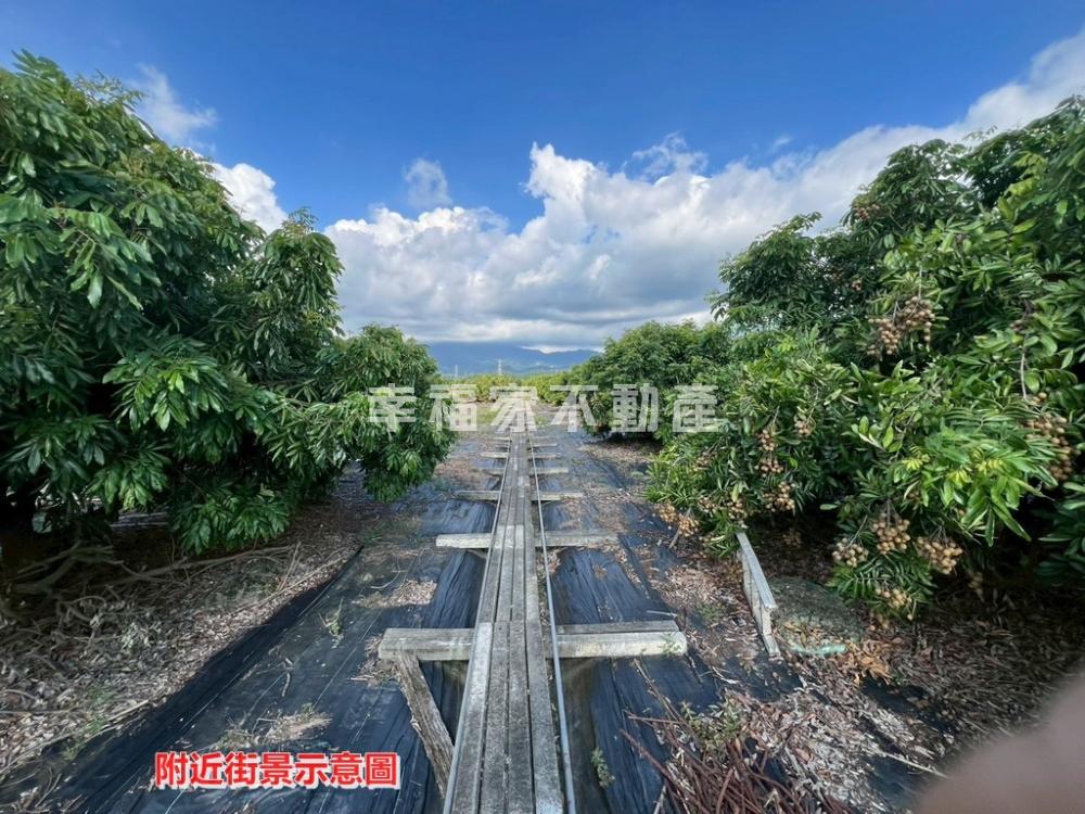 東山軌道龍眼園重劃農地
