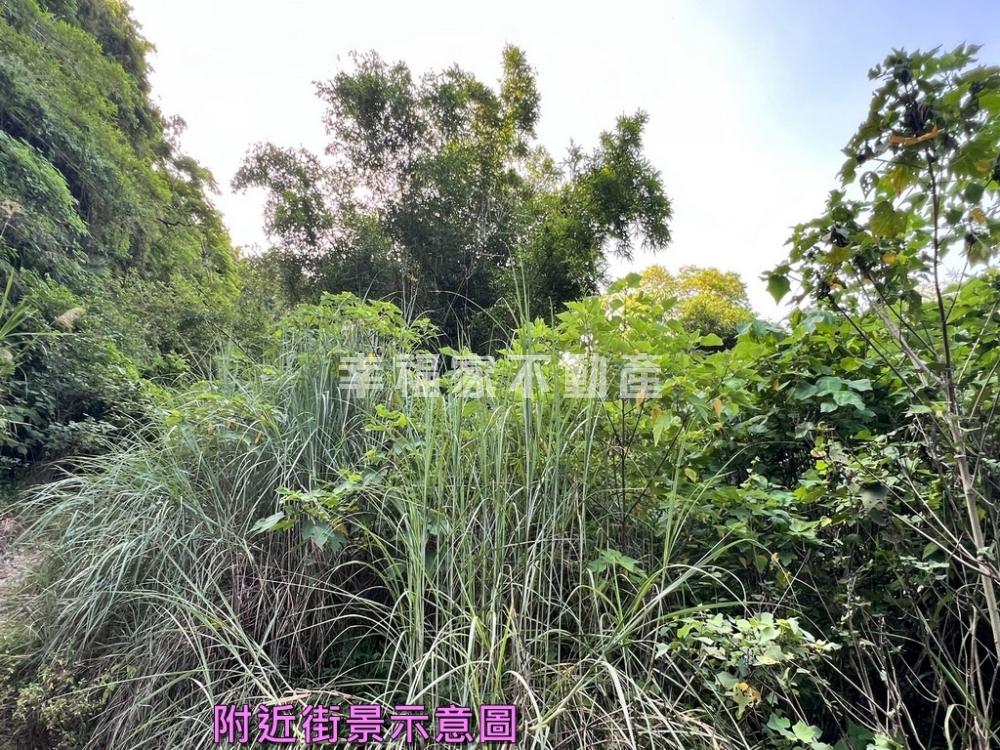 近龍崎教養院農保持分地