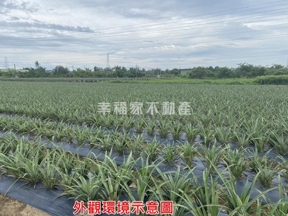 新市潭頂旺來農地