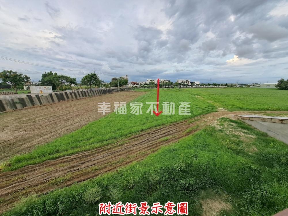 大洲30米道路旁美田