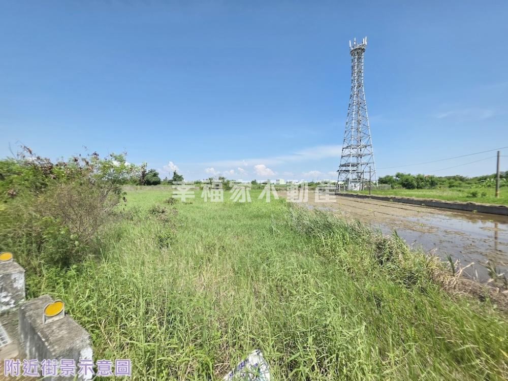 七股臨10米路445坪農地