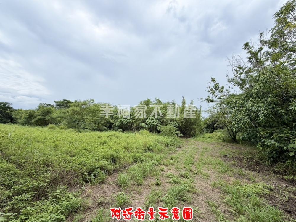 歸仁沙崙段特專區旁美一般農