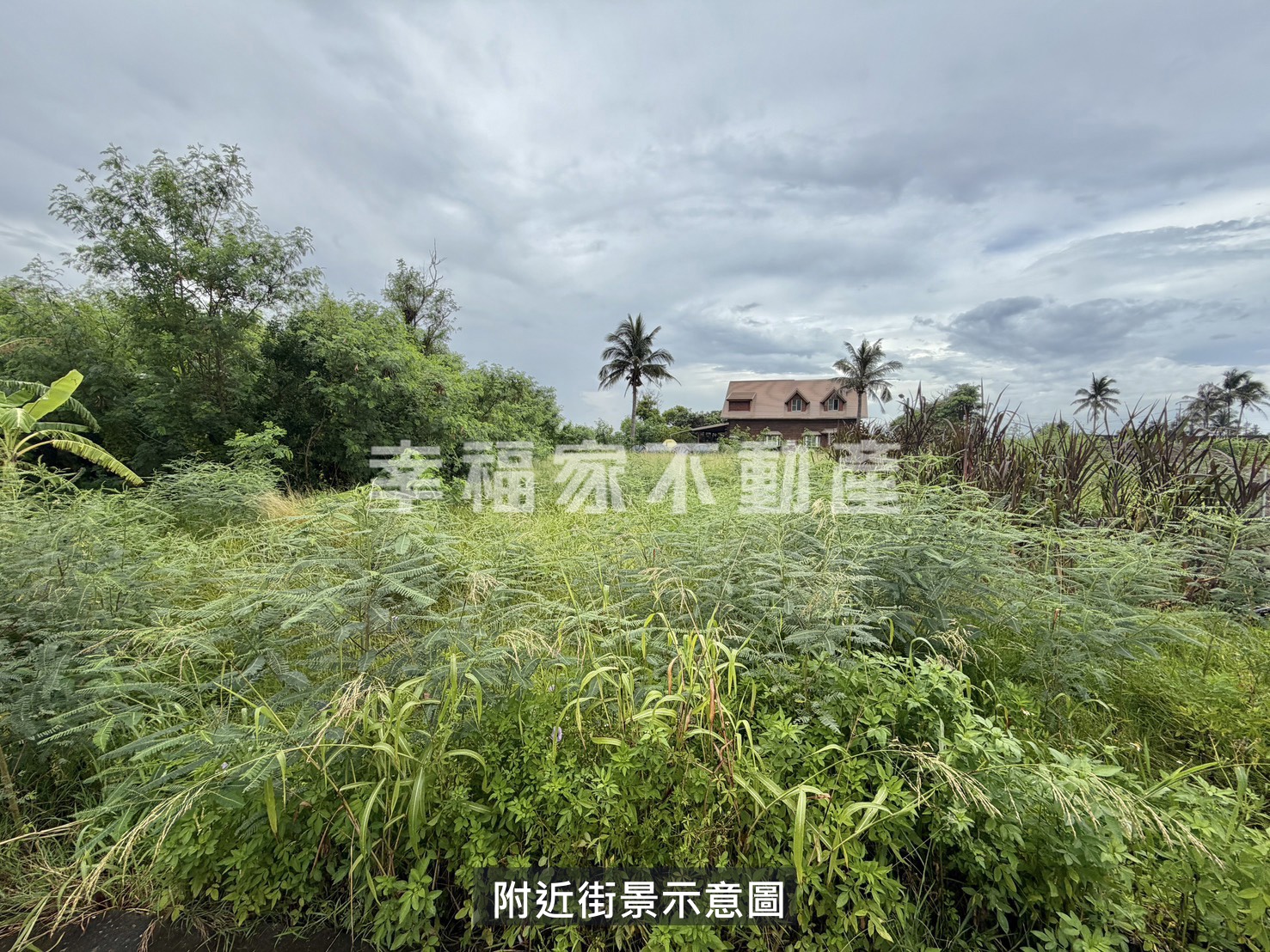 安南4分大地坪精華都計農
