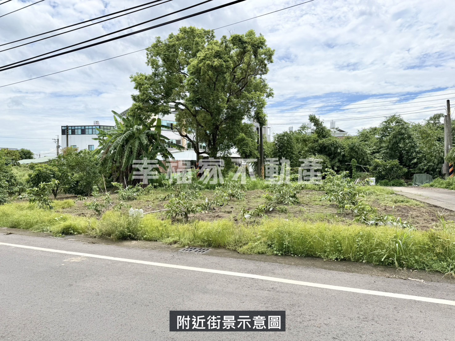 沙崙特專區雙面臨路美農地