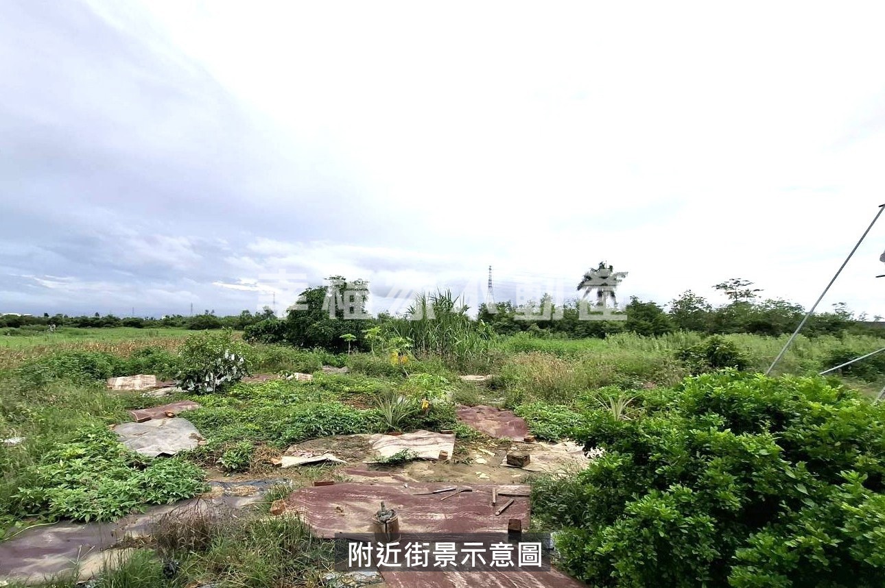 學甲宅港國小附近台19農地