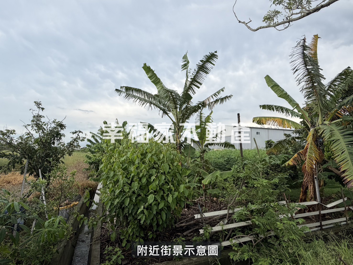 安定方正美農地好規劃