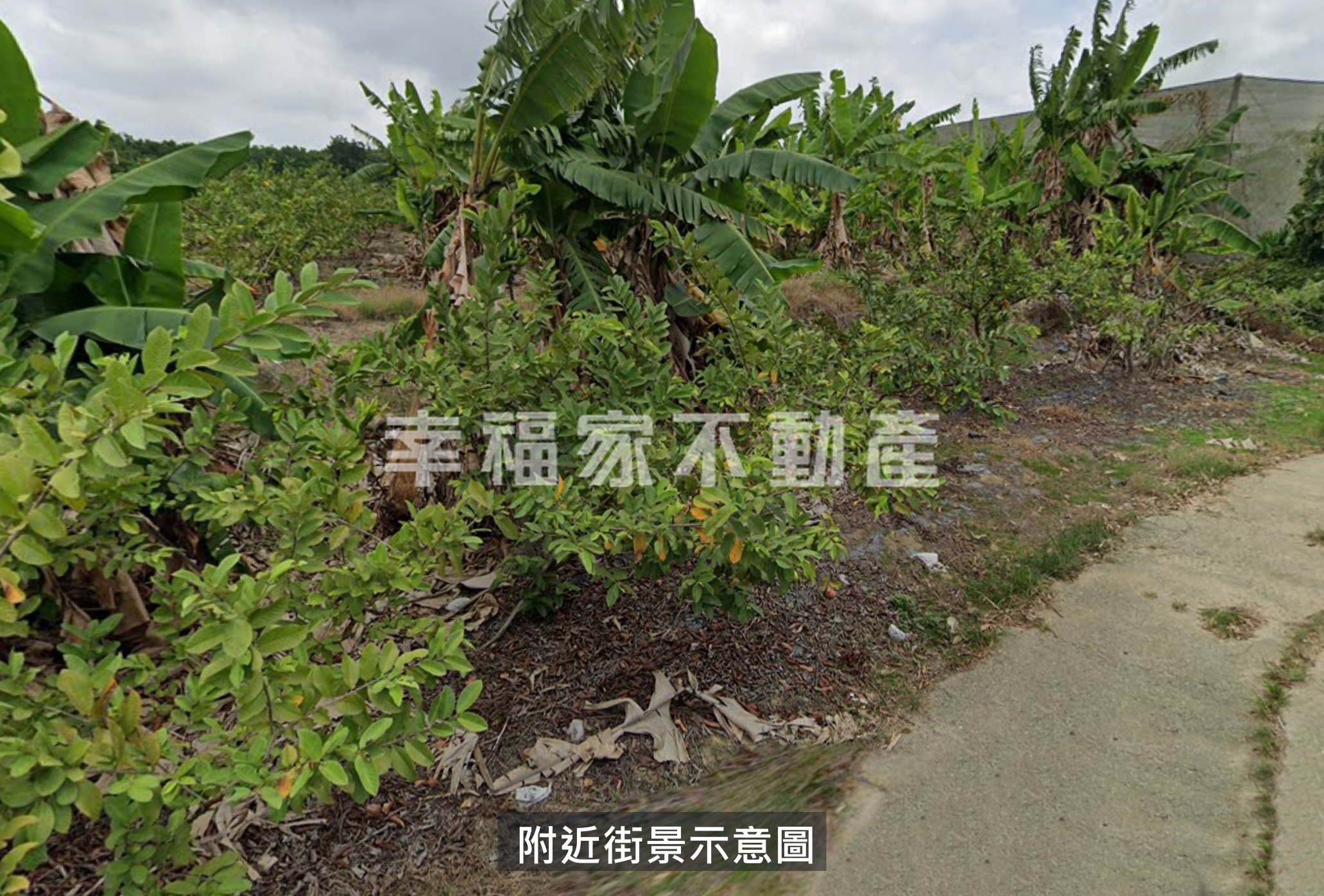 玉井2396農地