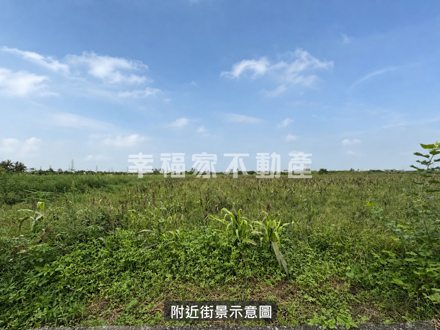 南科三期旁方正都農