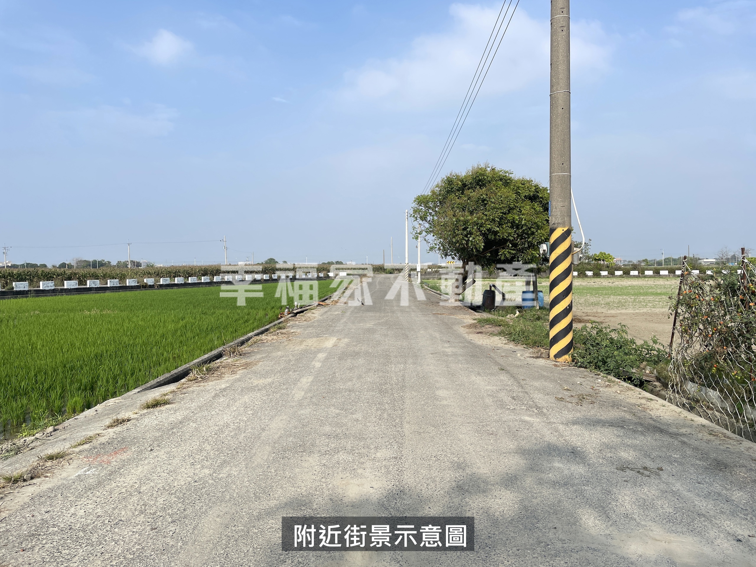 西港小而美休閒農