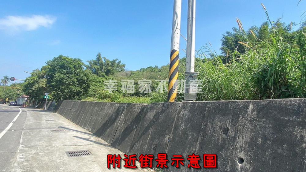 (租)左鎮-20米路有水電小農地