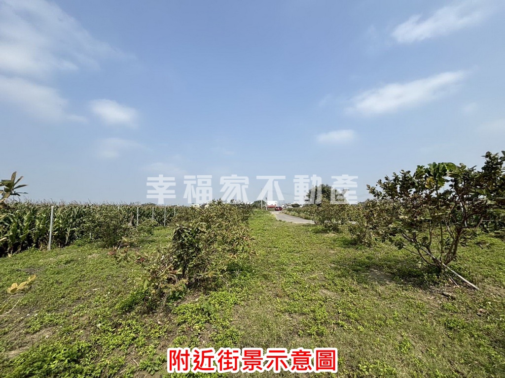 鹽水區大埔段路邊農地