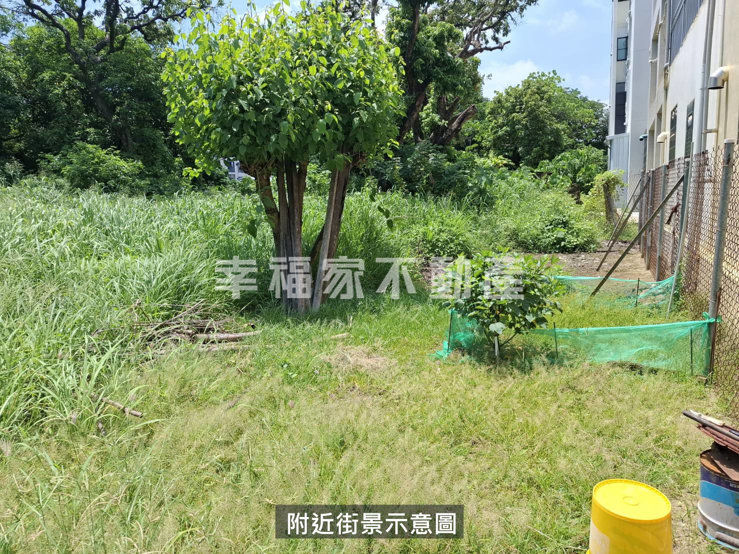 歸仁六甲乙建(持分)二