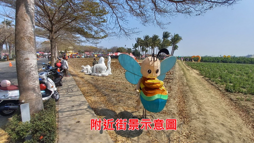 學甲蜀葵花海農地