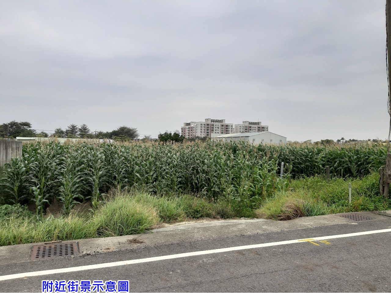 佳里臨11米路美農地