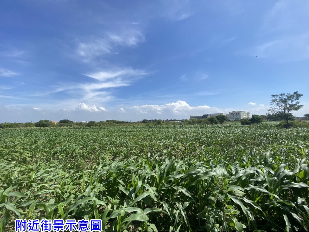 龍杏附近方正美農地