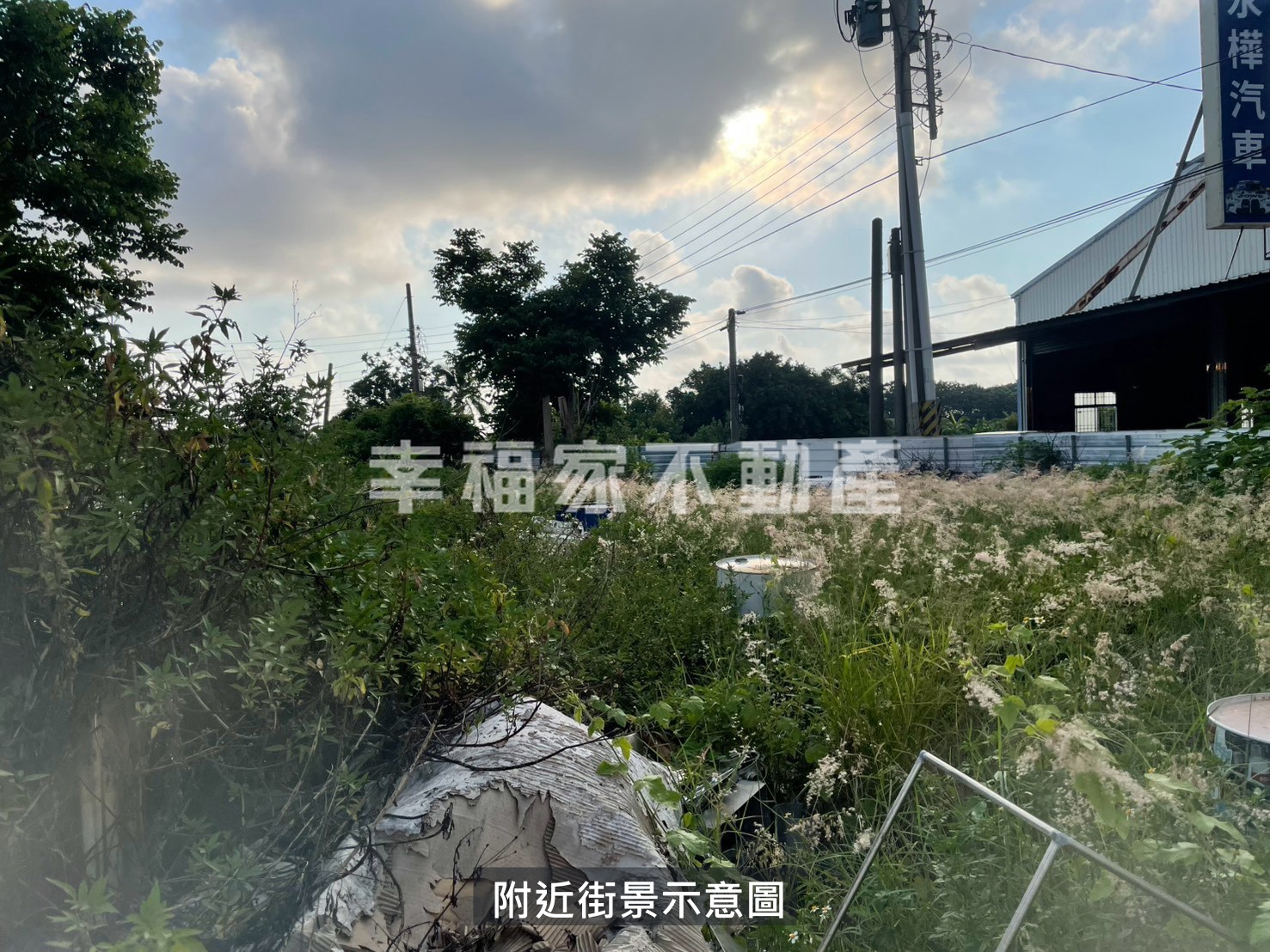 (租)永成路二段正路面農地(2)