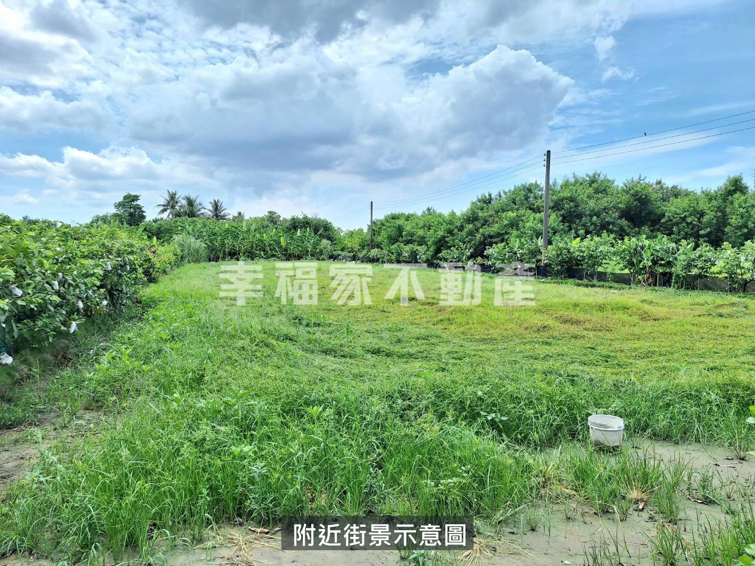 專-安南海環3.5分都農