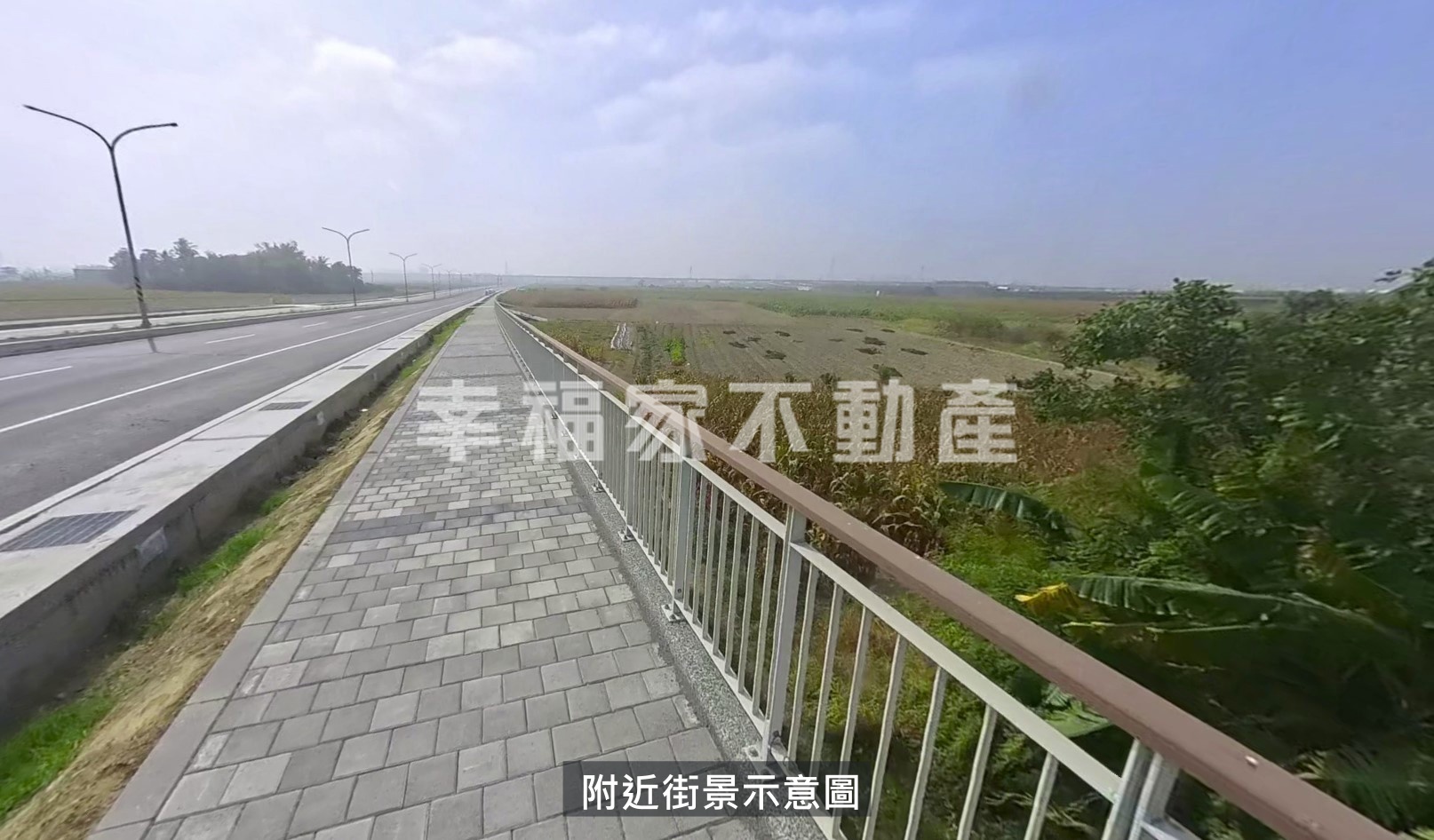 新市大洲樹谷大道旁農地23