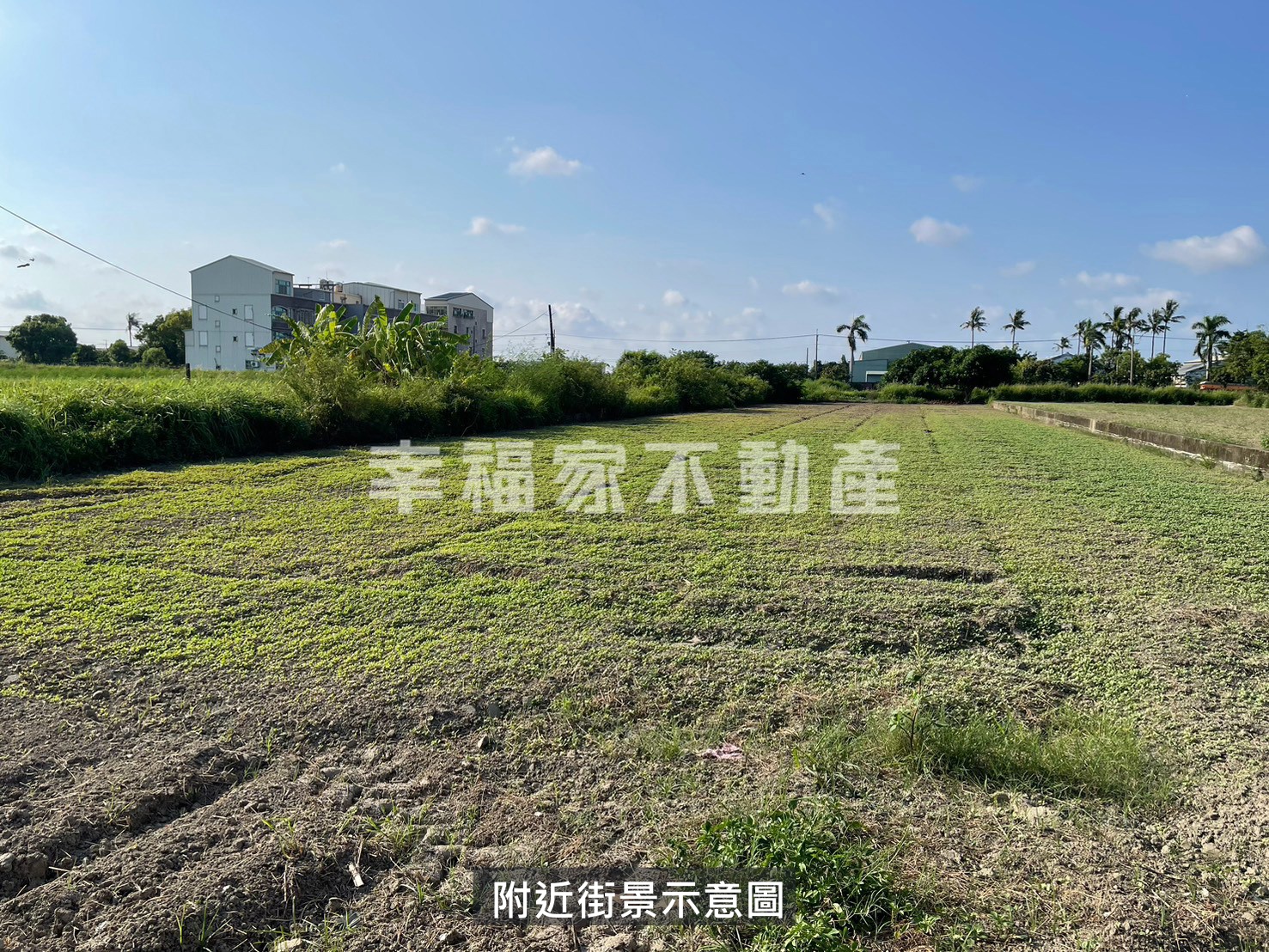 近西港國小約8米路都內農地
