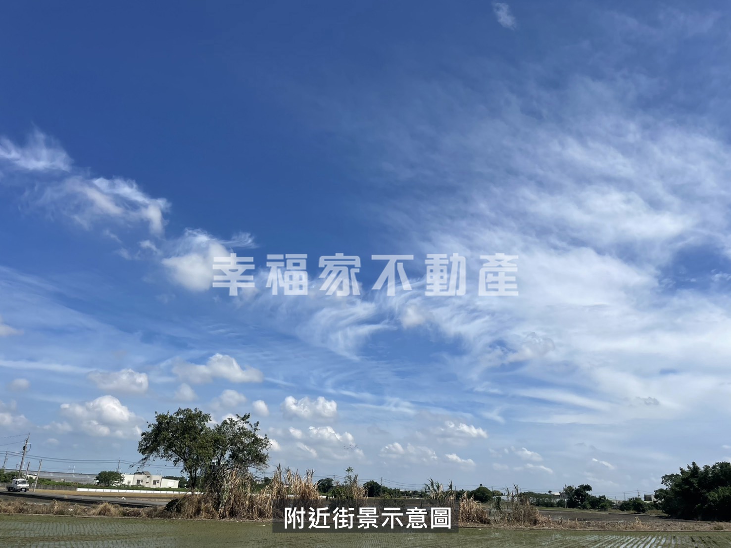 嘉義新港都內農地