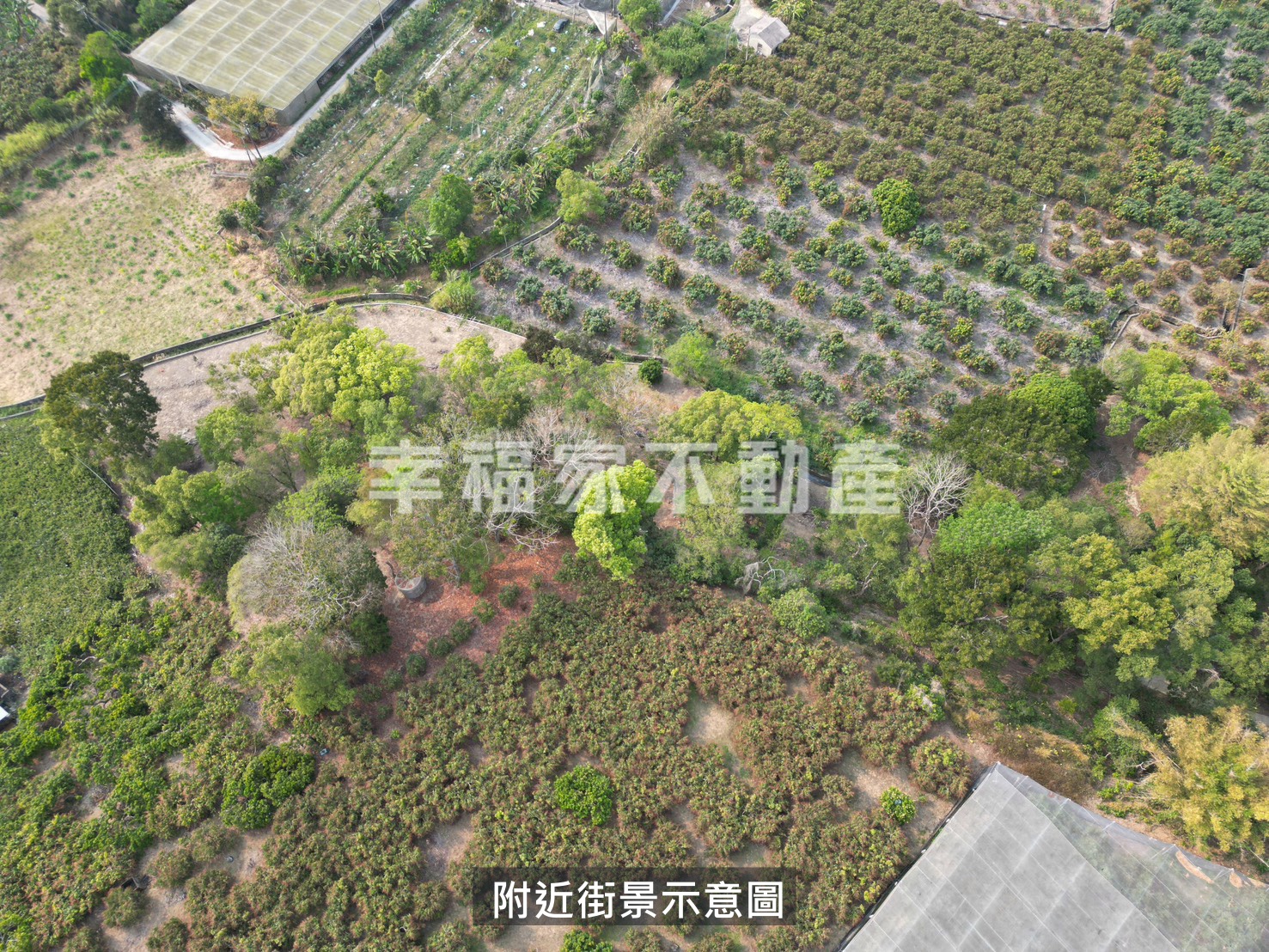 楠西近8分芬多精綠意農地