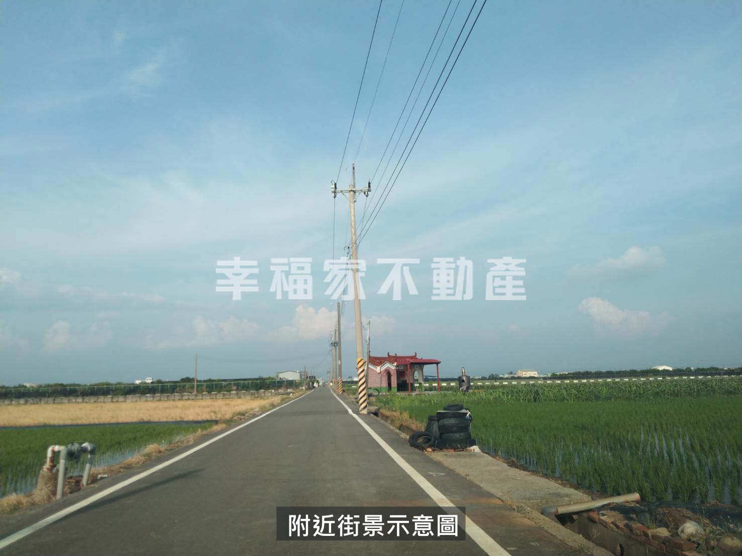 茅港尾3分方正農地