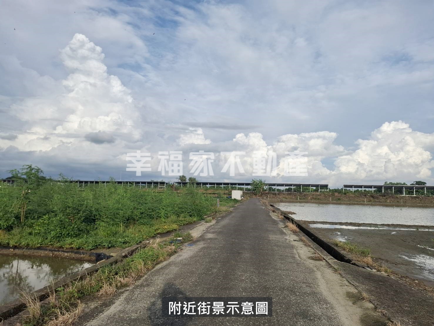 新化村莊旁農地