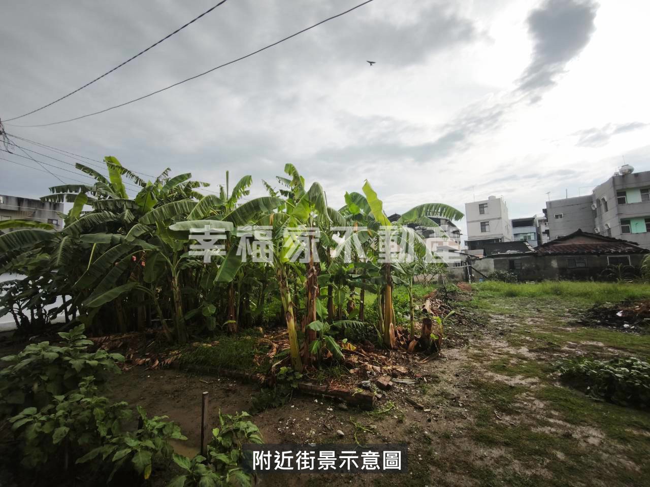 後壁頂中超值建地(二)
