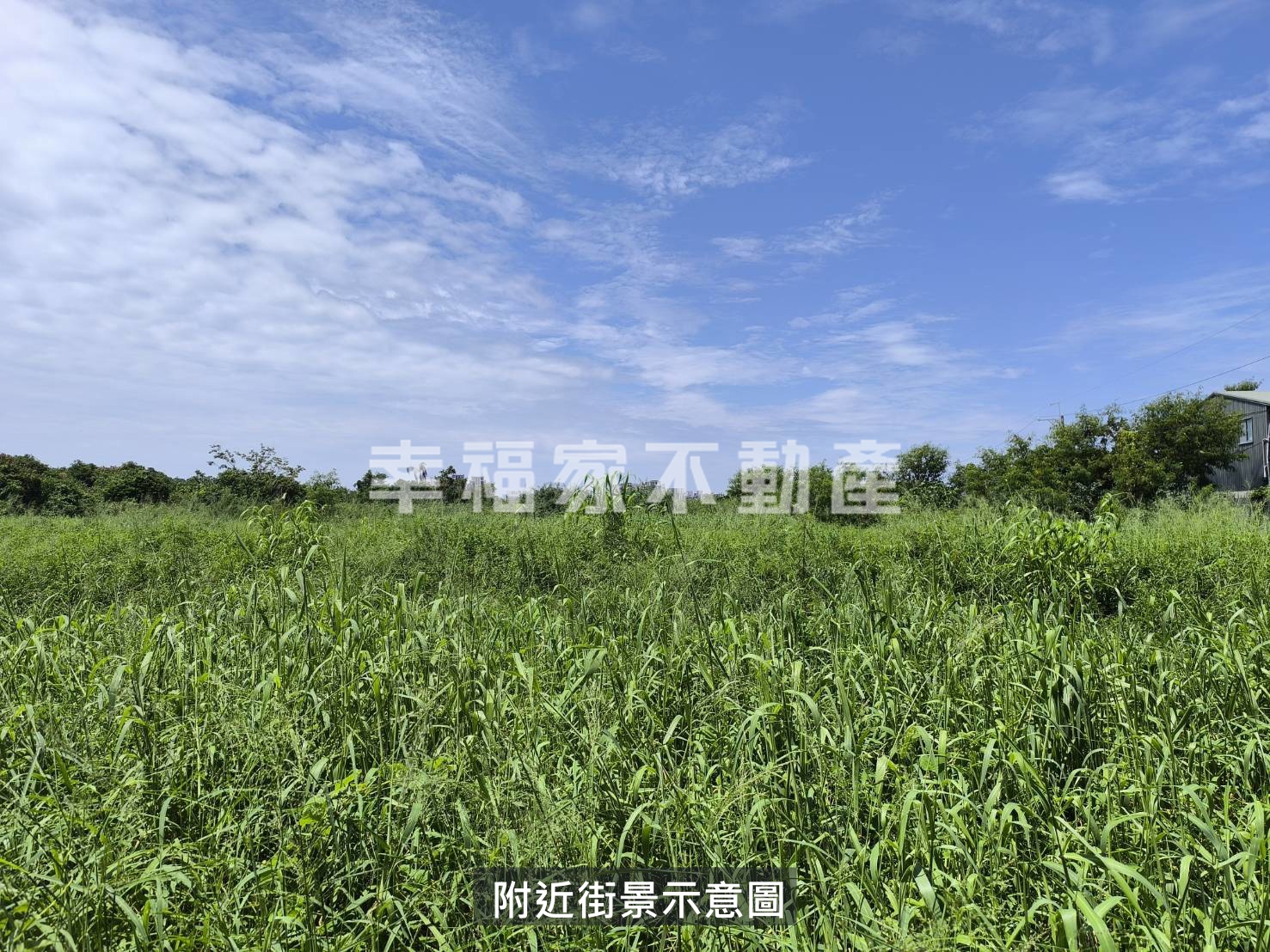 永康創意設計園區旁都內農地