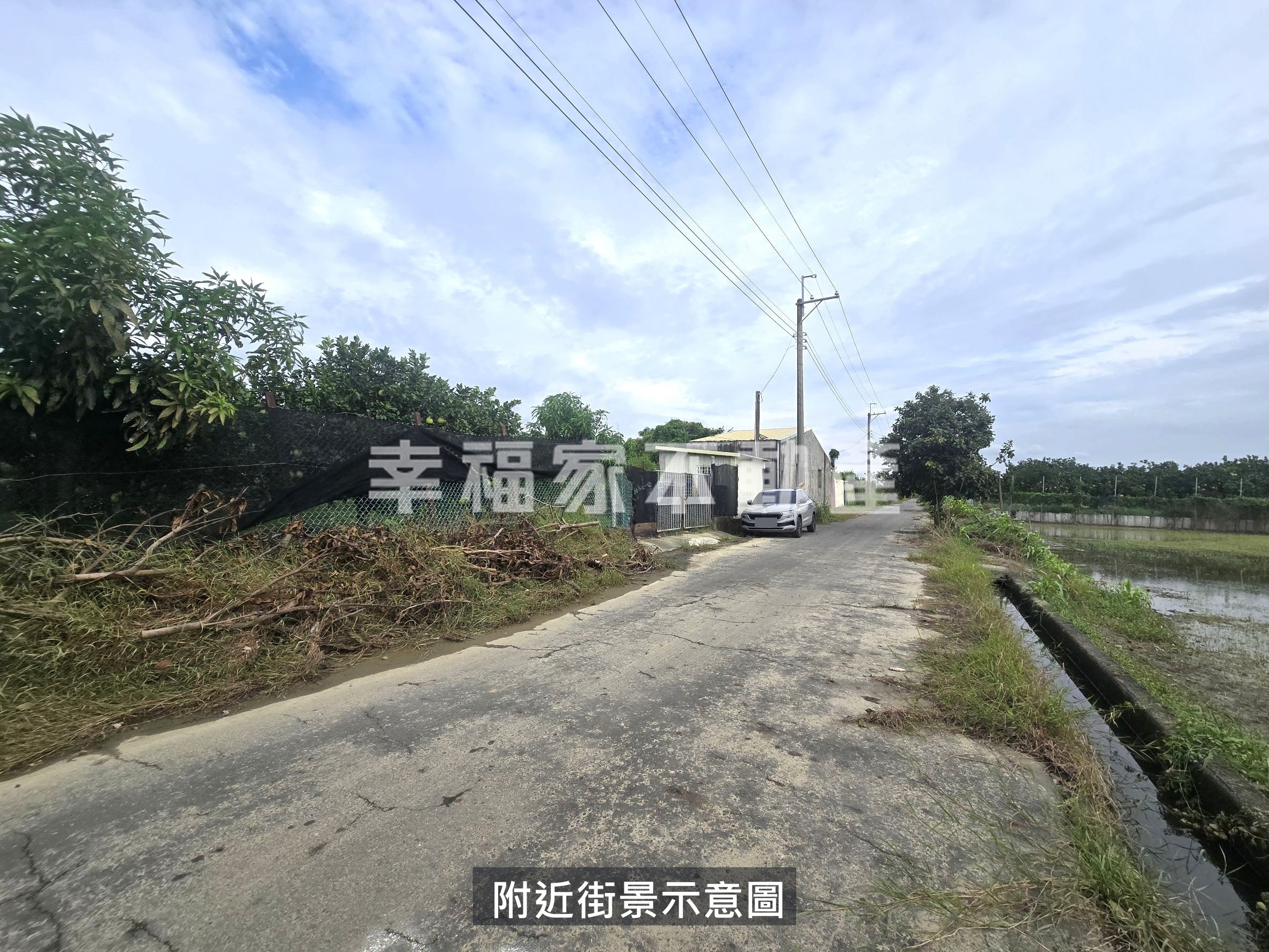 麻豆尪祖廟文旦園
