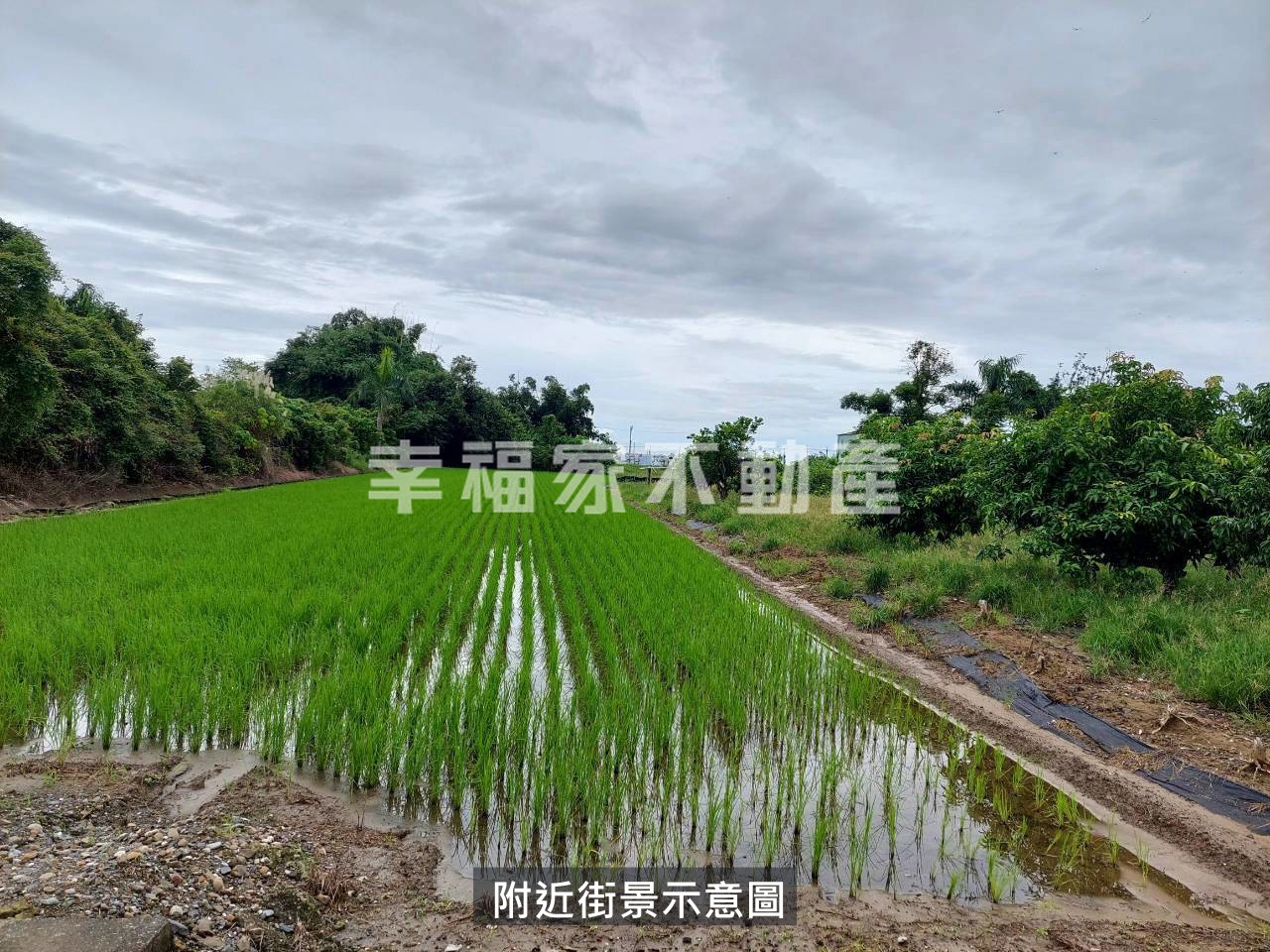 後壁區低總價農地+建地