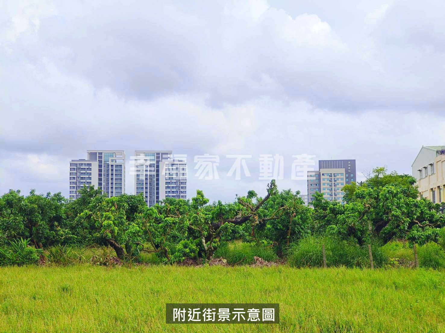 善化。地主誠意售100都農