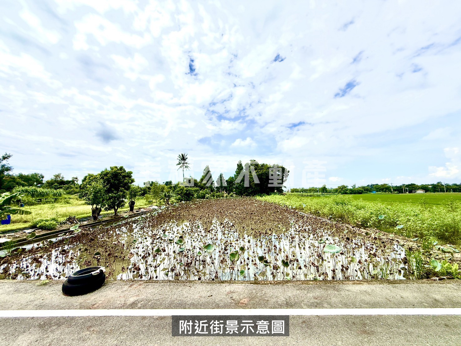 白河詔安可農保休閒農地