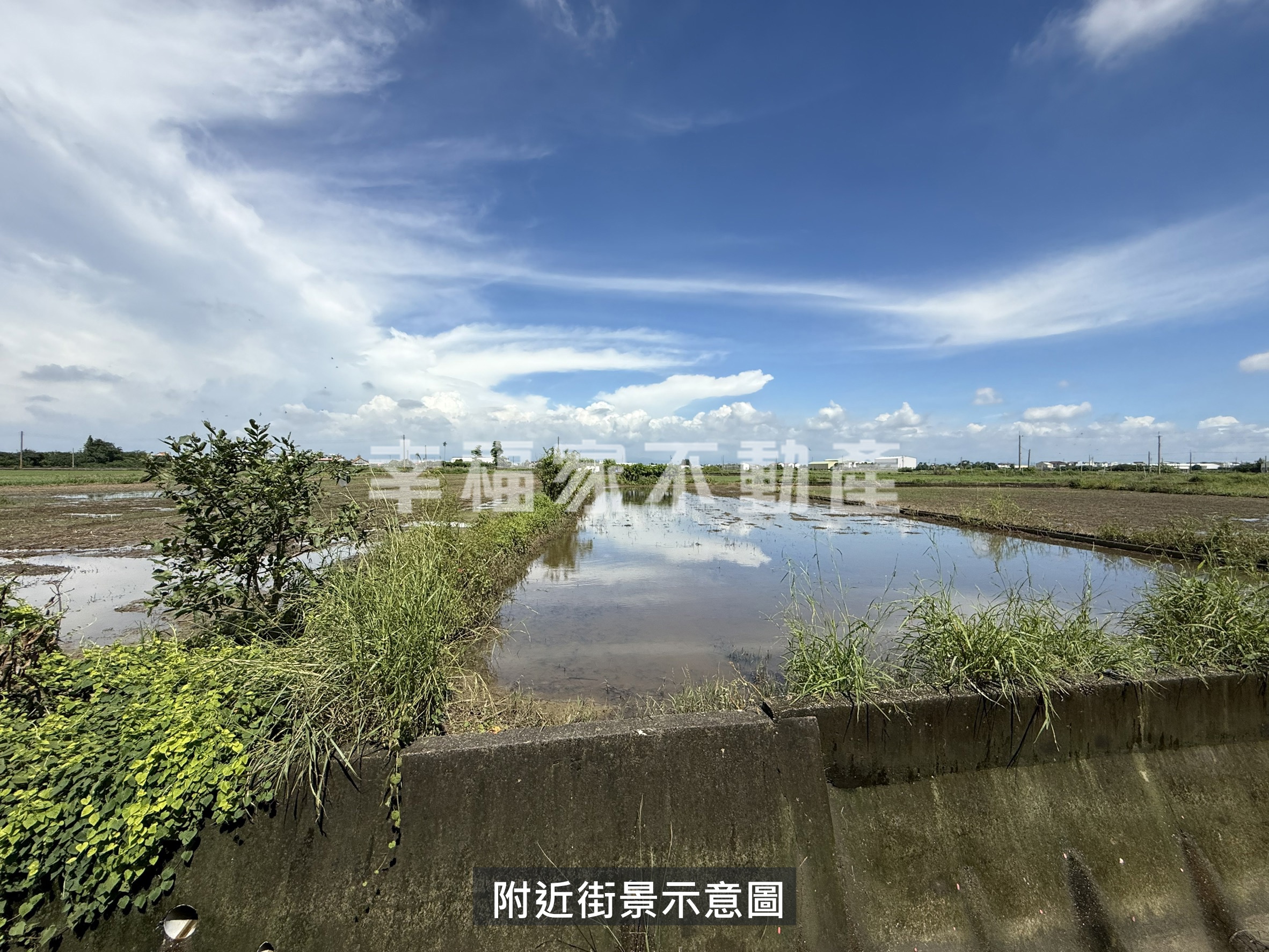 學甲大灣開心農場美田