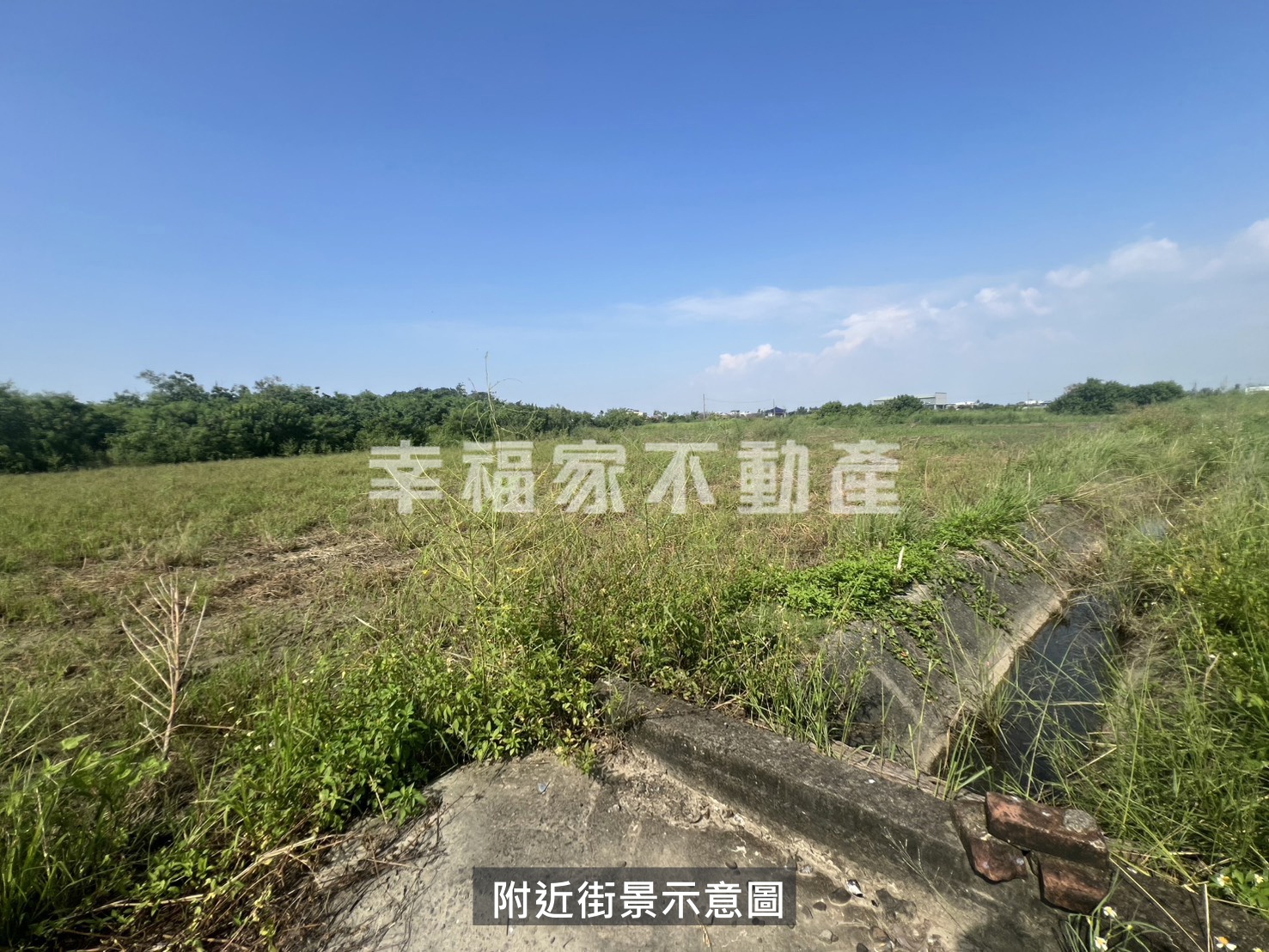 七股樹林珍稀好農