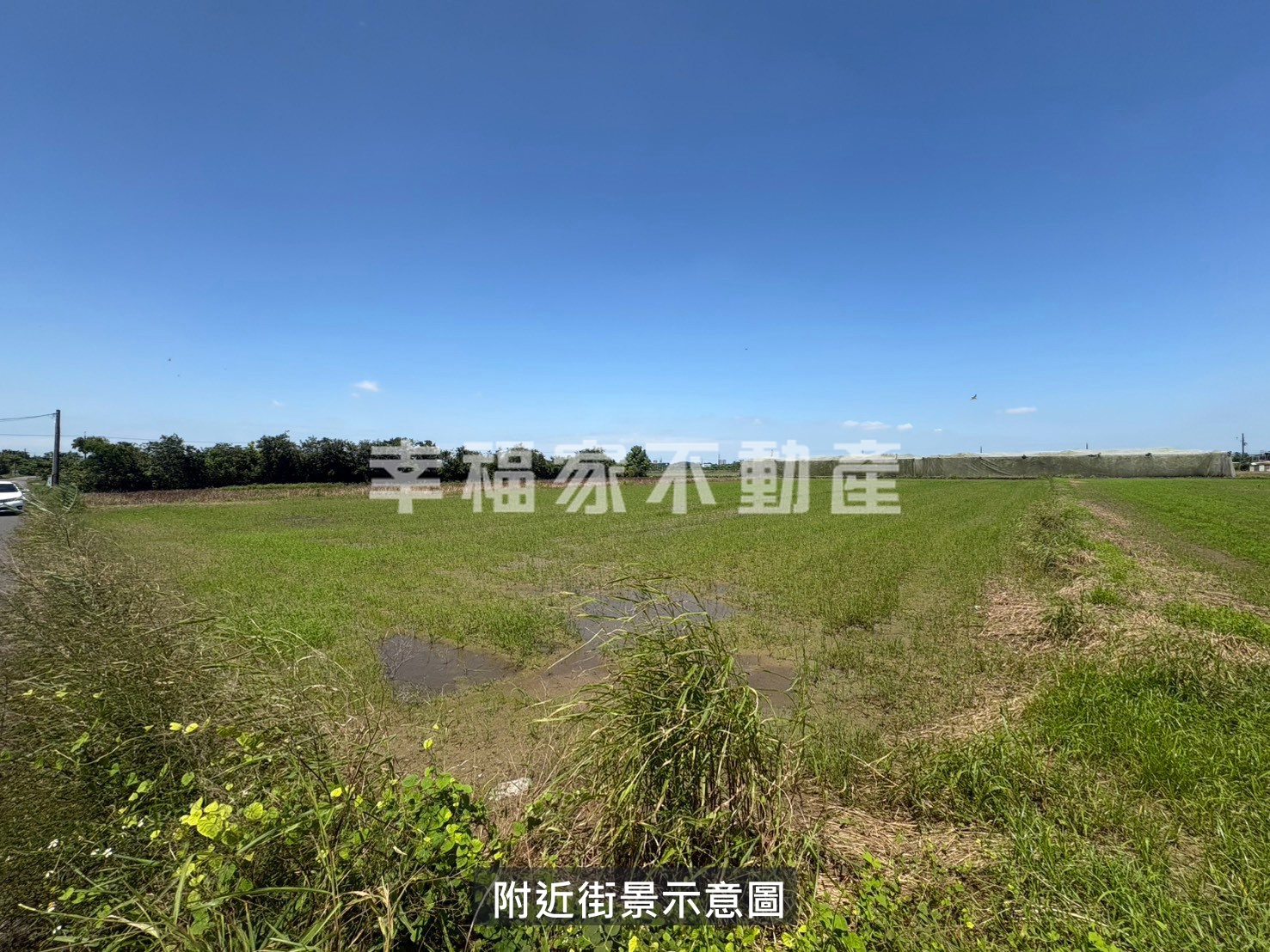 新市有水有電方正美農地