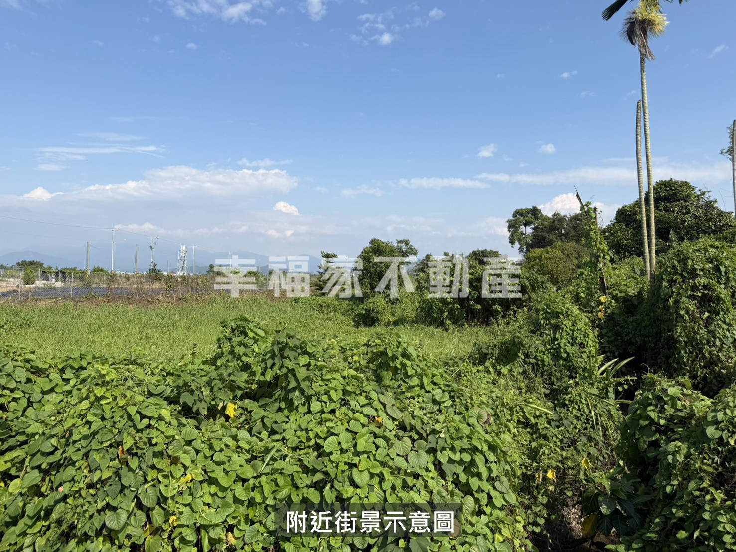 柳營好入手農地