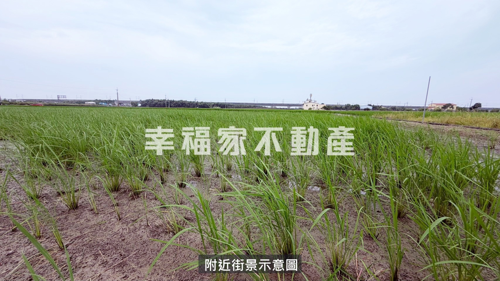 後壁長短樹3.7分便宜農地