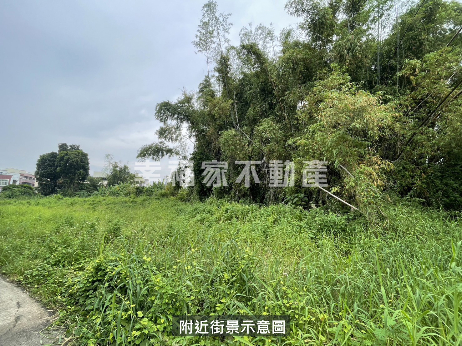 歸仁區段徵收280坪農地