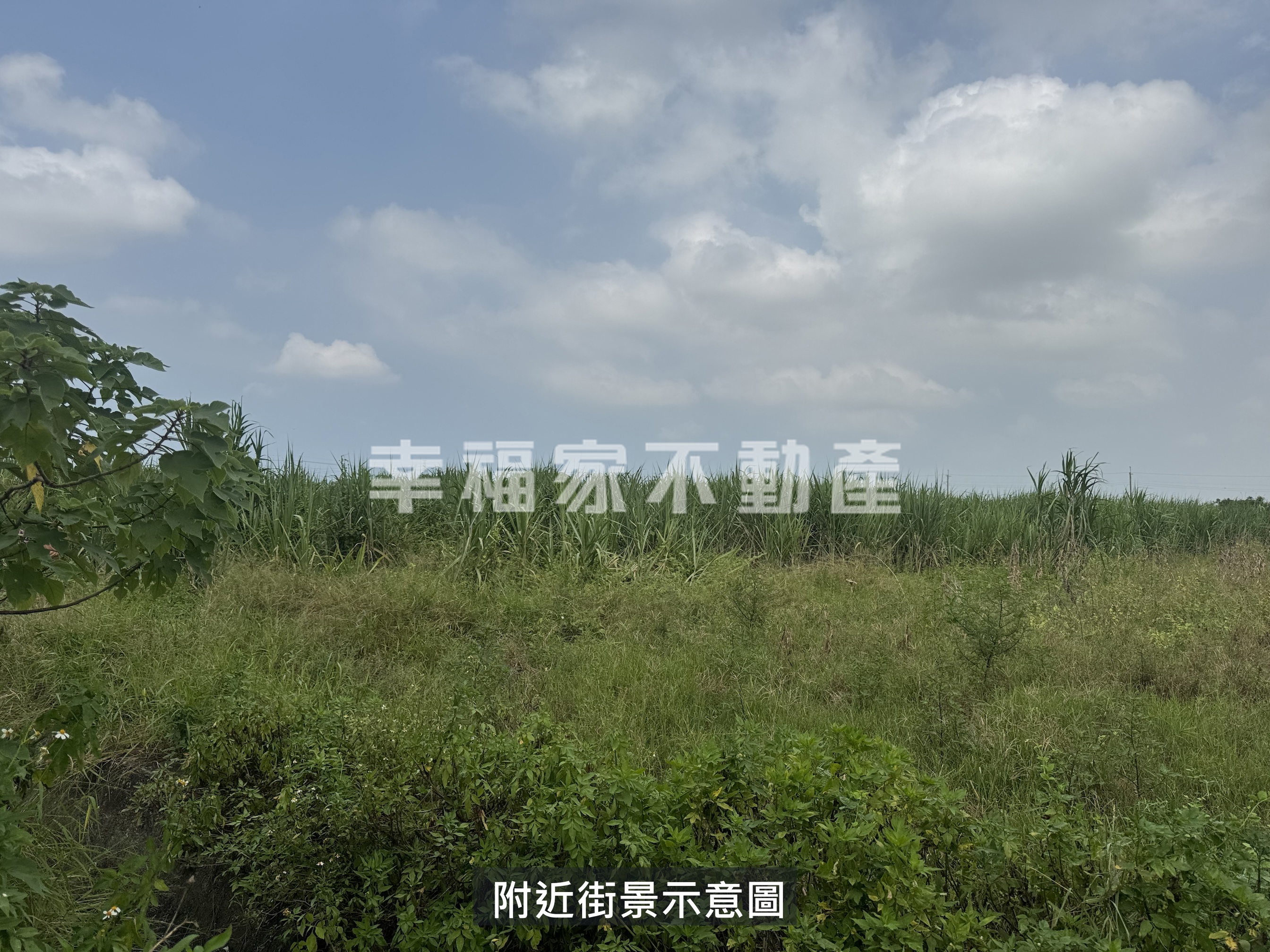 (專)六腳六嘉753農地一