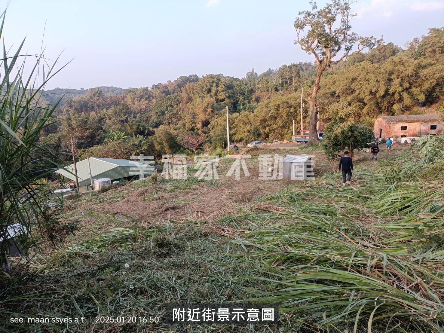 南投景觀休閒美坡地