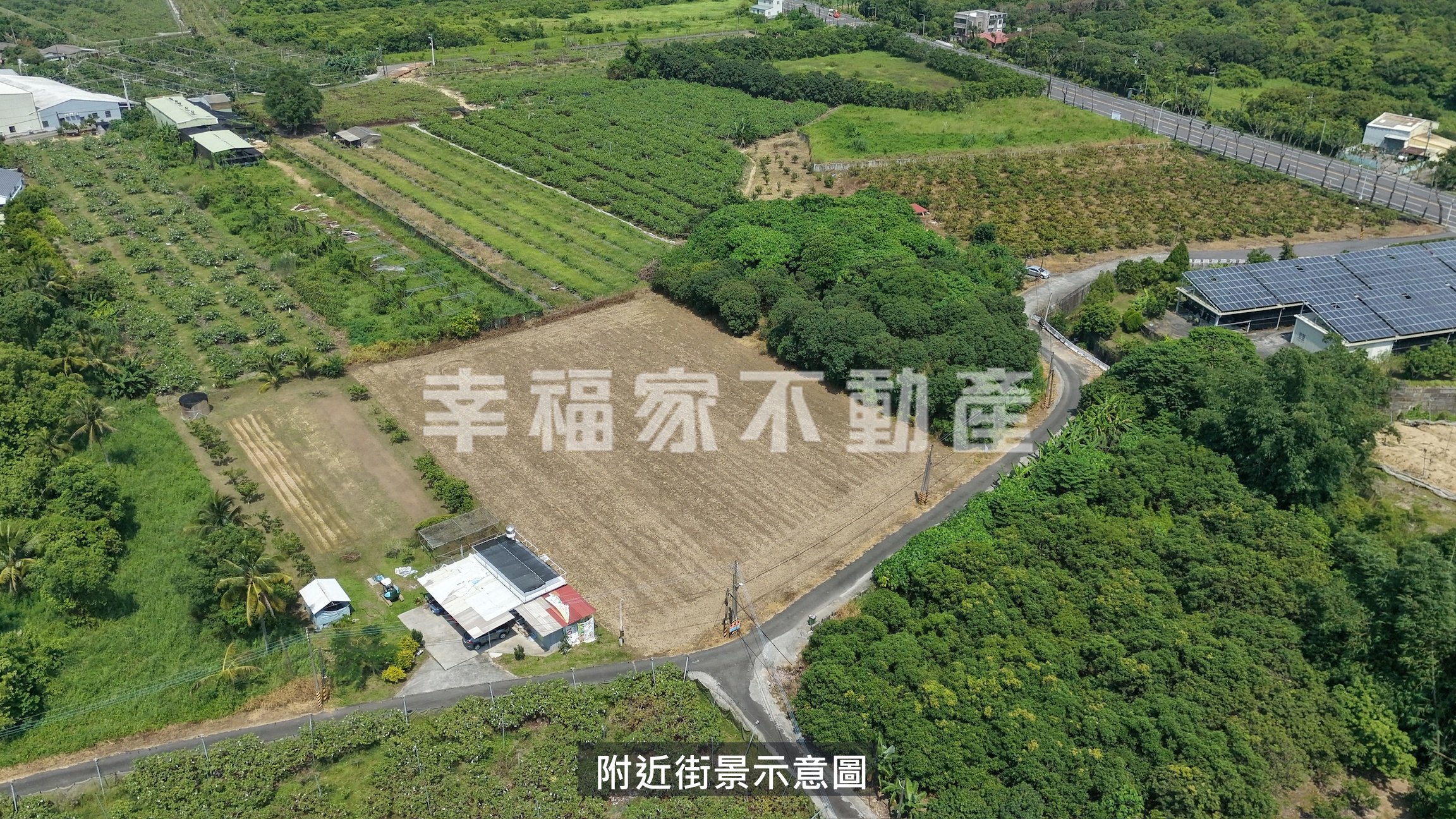 專-鹿陶洋4.8分一般農