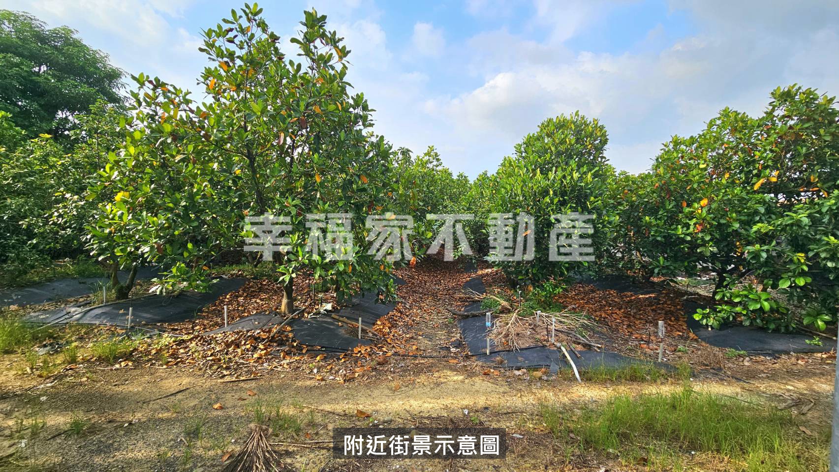 專-關廟甲種建地+農地
