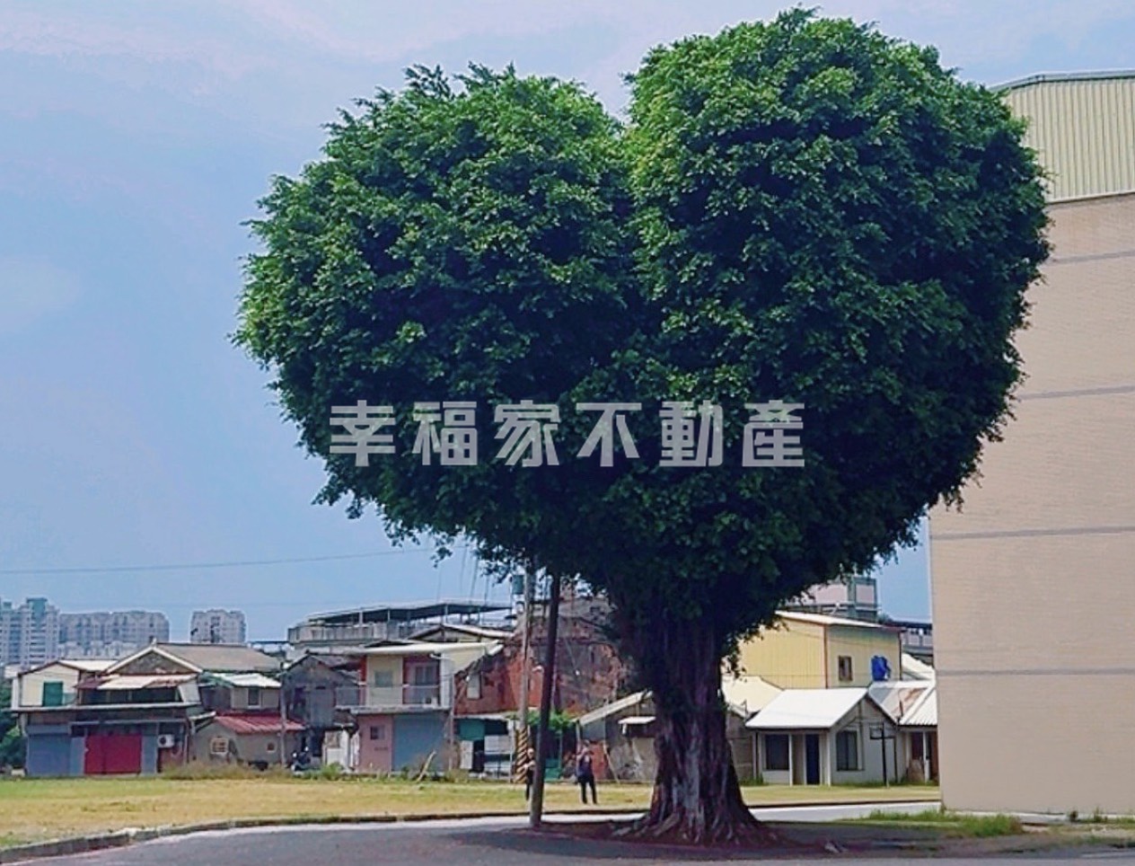 (租)大道新城樓店
