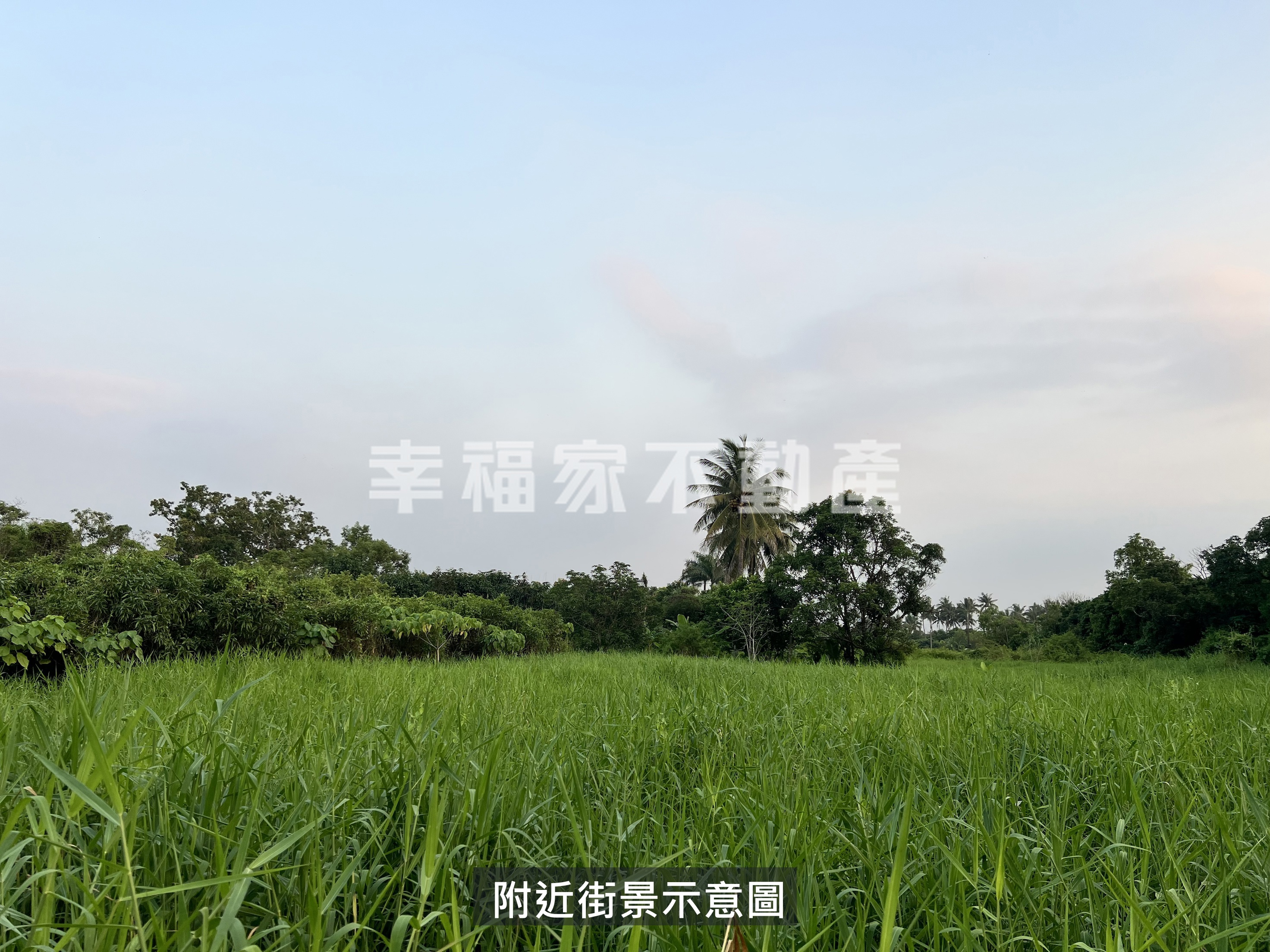 歸仁區大成段徵收持分農地Ⅰ