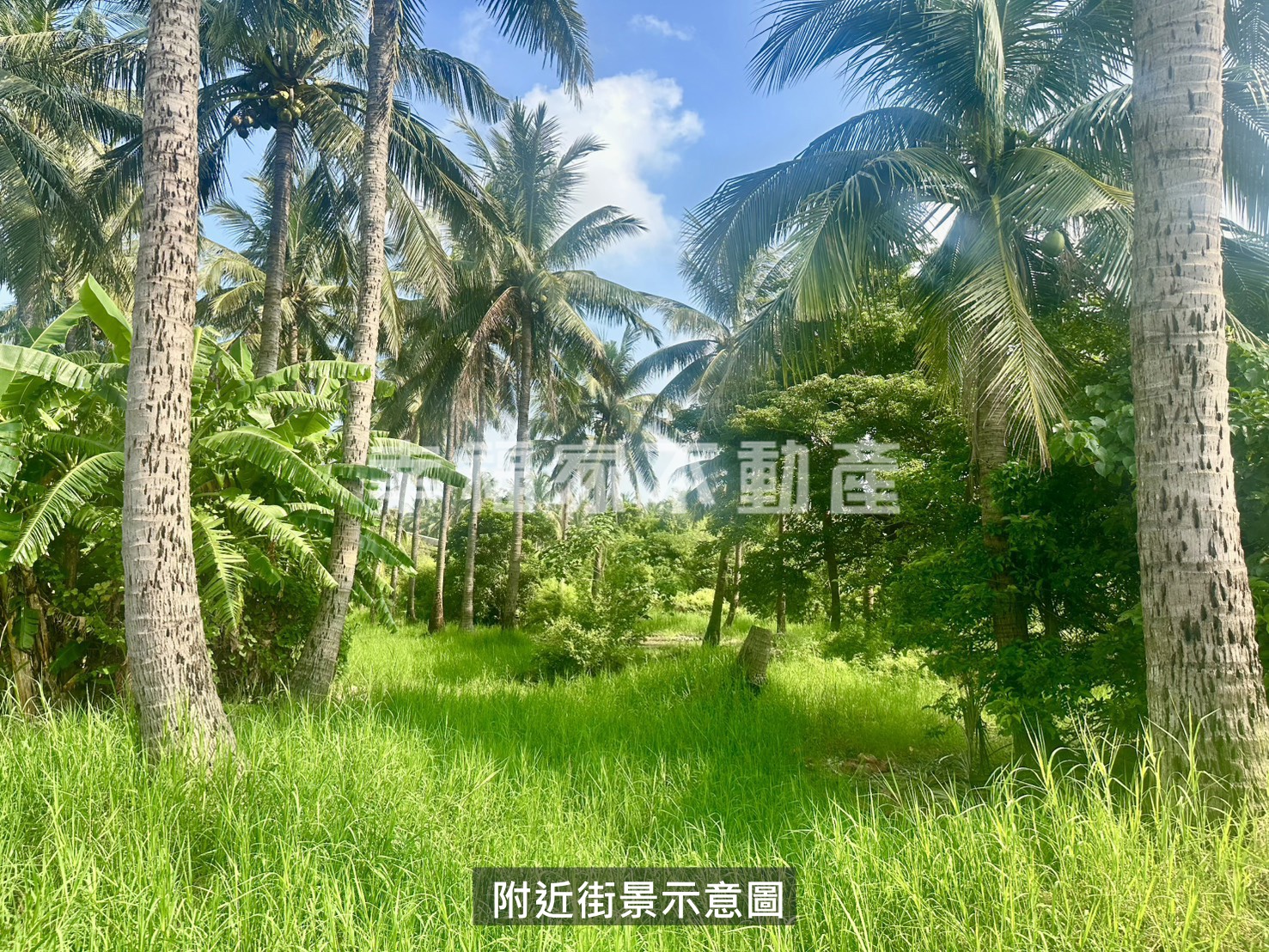 西港大塭寮1分美農地(2)
