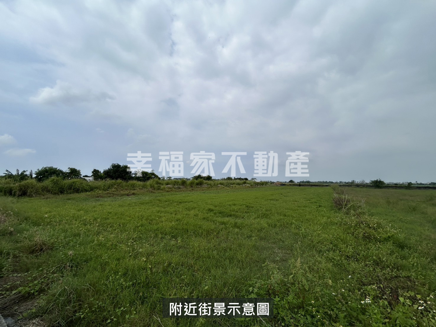 七股大埕2.3分雙面路美田