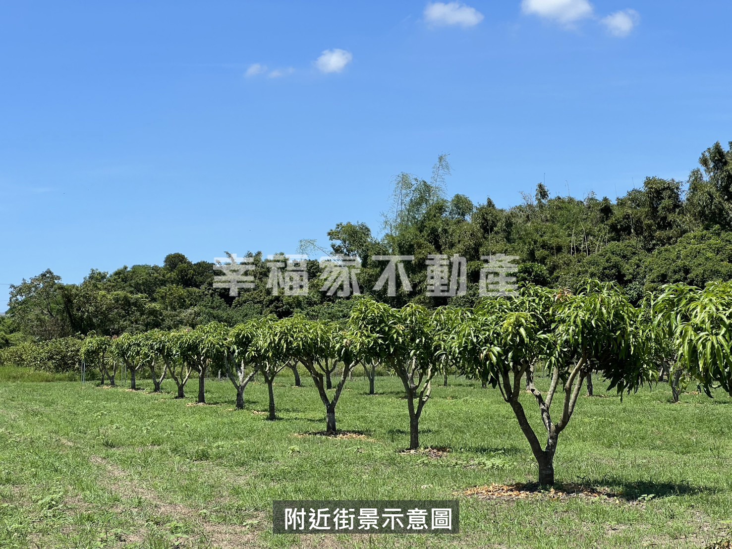 仁德近高鐵地勢平整好農地