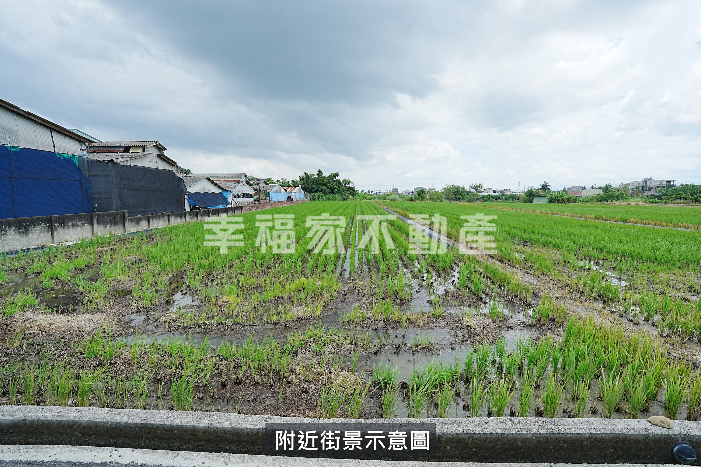 柳營小脚腿優美農地